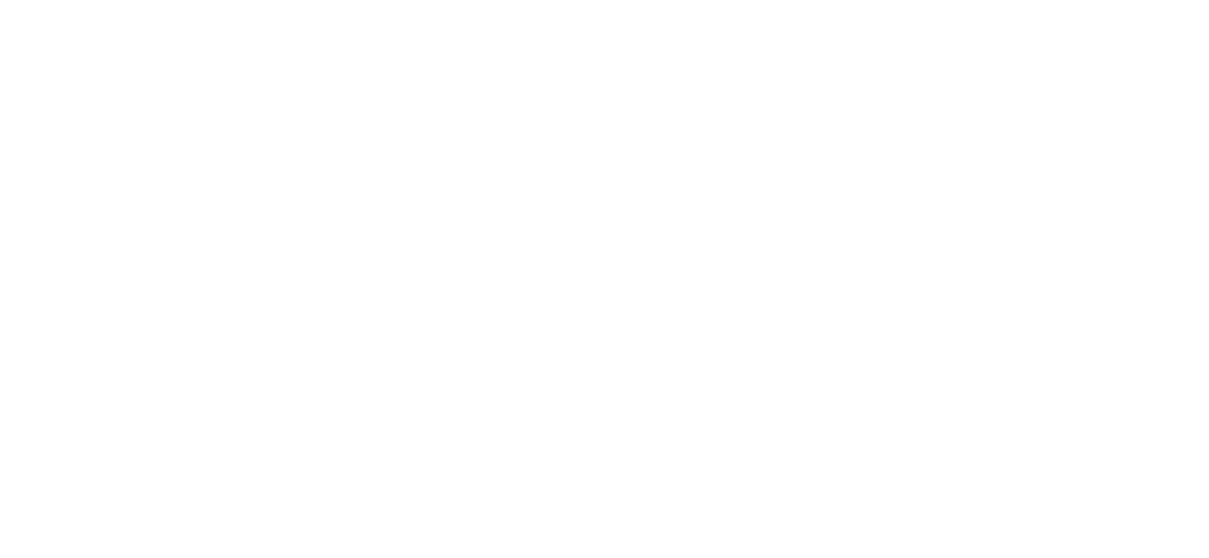 logo footer