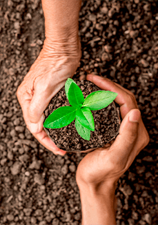 MEIO AMBIENTE E CONSCIENTIZAÇÃO